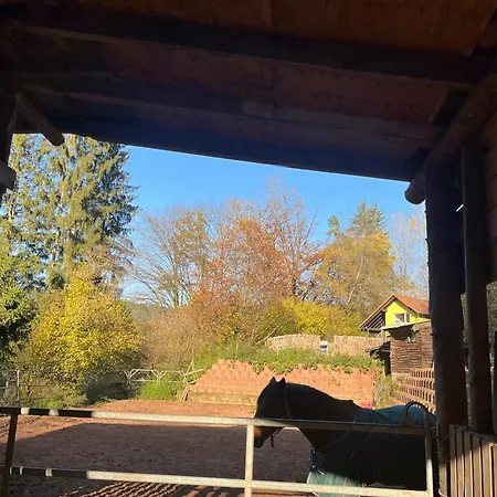 Wald-traum-zimmer Niederdorla