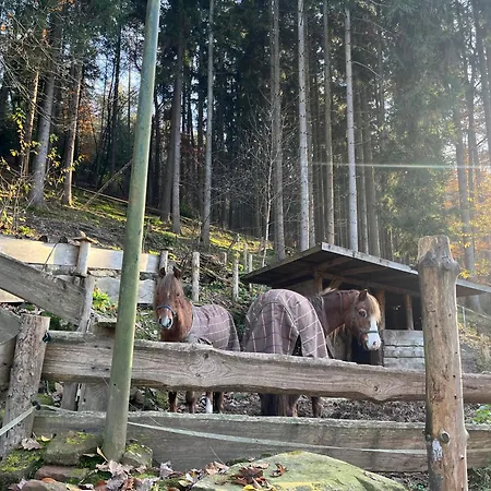 Wald-traum-zimmer Vendégház Niederdorla