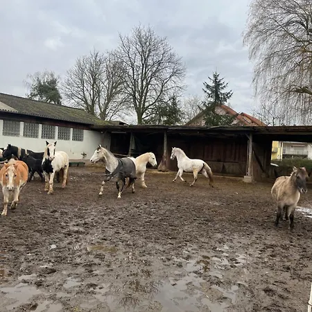 Wald-traum-zimmer Niederdorla