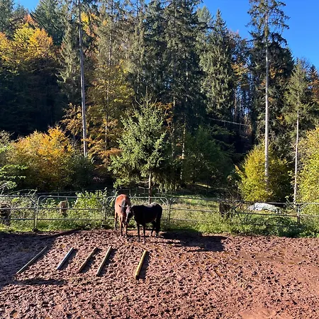 Wald-traum-zimmer * Niederdorla